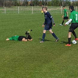 Zamek Gorzanów - Cis Brzeźnica 2-2