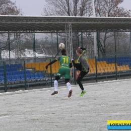 NIWY BRUDZOWICE - TĘCZA BŁĘDÓW