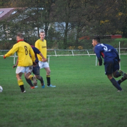 FC Polonia-Manningham All Stars   07.11.2015