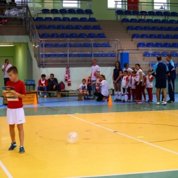 Piknik rodzinny Radosne Świętowanie Niepodległości