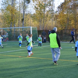 Turniej DZPN Orliki i Żaki 24.10.2015 ul.Lotnicza