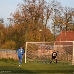 11. kolejka klasy ''A'': Czarni Białków - Pogoń Miękinia