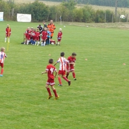 ORLIK CUP NIEWIADÓW