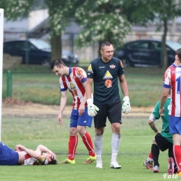 Źródło: polonia-sroda.pl