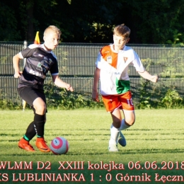 WLMM D2 wiosna