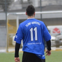 Sparing LZS Zdziary - Stal Gorzyce 1:8 (Fot. Sport w obiektywie)