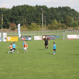 Gogolin Cup 2015