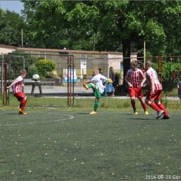 AZOTANIA, ZAKOŃCZENIE SEZONU