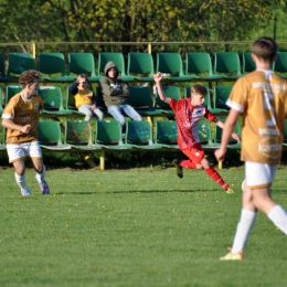 Wisłok Strzyżów 2:2 Brzozovia Brzozów