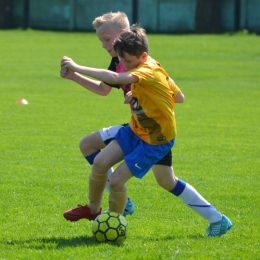 Liga Orlika Rybnik - AP Champions - Forteca Świerklany