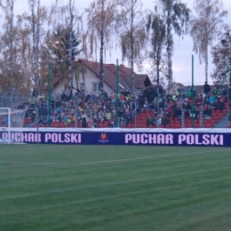 PUSZCZA-POGOŃ