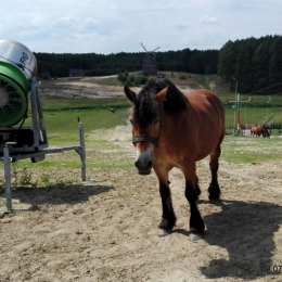 Z WIZYTĄ W CEKCYNIE 02.07.2016