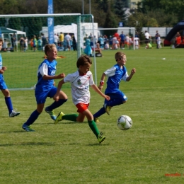 Rotary Białystok Cup