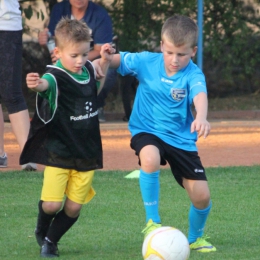 UKP "Gol" - FA Opole