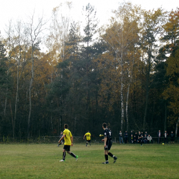 Świt Borowno - Biała Gwiazda Krasice 3-1 (0-1) 11.11.2012