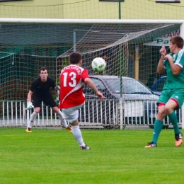 Sparing: Pasjonat Dankowice - Bory 4:3