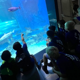 AP CAMP-LATO 2025 / Obóz piłkarski w Redzie, 5-11.08.2025.