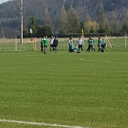 Zamek Gorzanów - Cis Brzeźnica 2-2