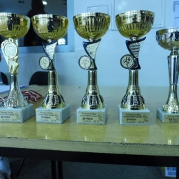 Turniej Orlika o Puchar Starosty Żarskiego