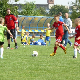 ORLIK CUP NIEWIADÓW