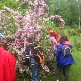 Ogród Botaniczny - czerwiec 2016