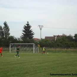 MAŃKOWICE 3 : 4 UNIA REŃSKA WIEŚ 11.06.2014