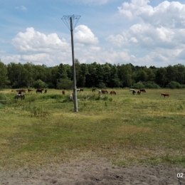 Z WIZYTĄ W CEKCYNIE 02.07.2016