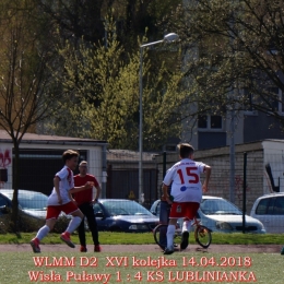 WLMM D2 wiosna