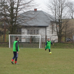 Sparing Perła Telatyn - Andoria