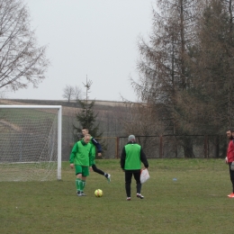 Sparing Perła Telatyn - Andoria