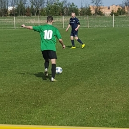 Zamek Gorzanów - Cis Brzeźnica 2-2