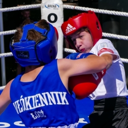 XVIII Turniej Miast Królewskich w boksie