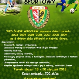 Zimowy Obóz Sportowy WKS Śląsk - Kobyla Góra 2018