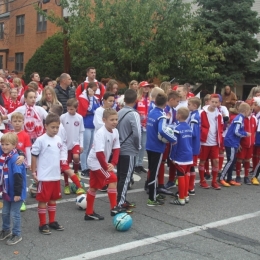 Parada Pułaskiego 2016 -Garfield