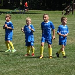 Piłkarski Dzień Dziecka w Parku Norweskim
