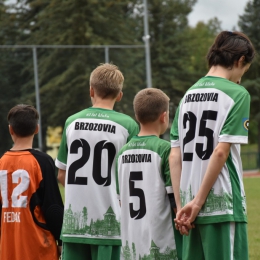 Brzozovia Brzozów 4:2 Górnik Grabownica