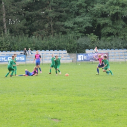 Tarnowiczanka 2010 : Unia Strzybnica