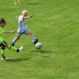 LTS LEŚNA-WŁÓKNIARZ MIRSK (10-0) MŁODZIK