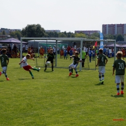 Rotary Białystok Cup