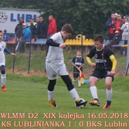 WLMM D2 wiosna