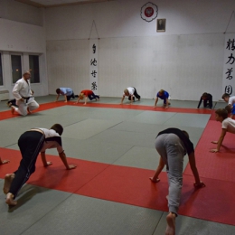 Zajęcia Judo