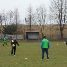 Sparing Perła Telatyn - Andoria