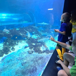 AP CAMP-LATO 2025 / Obóz piłkarski w Redzie, 5-11.08.2025.