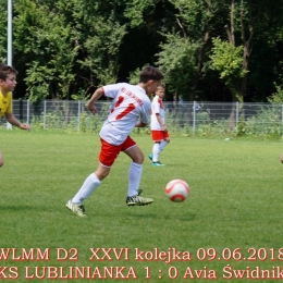 WLMM D2 wiosna