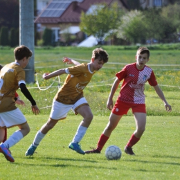 Wisłok Strzyżów 2:2 Brzozovia Brzozów