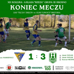 XII Kolejka LKS TĘCZA Zręcin vs LIWOCZ Brzyska