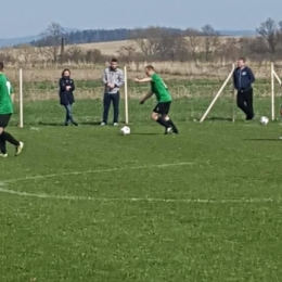 Zamek Gorzanów - Cis Brzeźnica 2-2