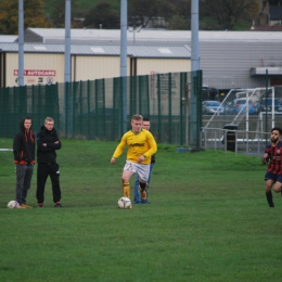 FC Polonia-Manningham All Stars   07.11.2015