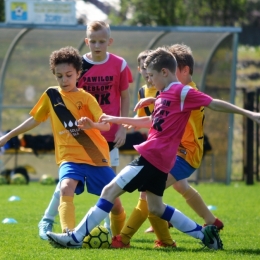 Liga Orlika Rybnik - AP Champions - Forteca Świerklany