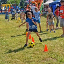 III Rodzinny Piknik Hetmański (fot. M. Skałecki)